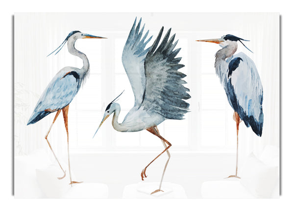 Heron Trio