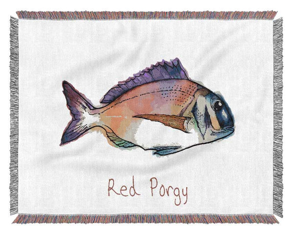 Red Porgy Rainbow Woven Blanket