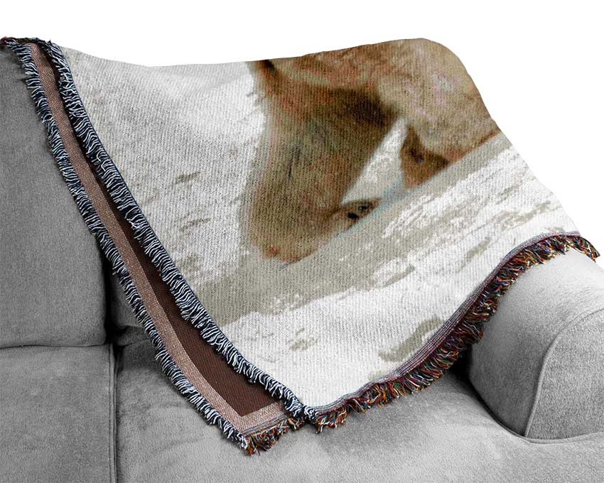 Polar Bear Itch Woven Blanket