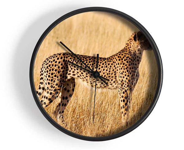 Cheetah Watch Clock - Wallart-Direct UK