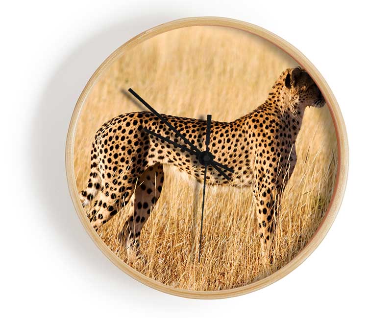 Cheetah Watch Clock - Wallart-Direct UK