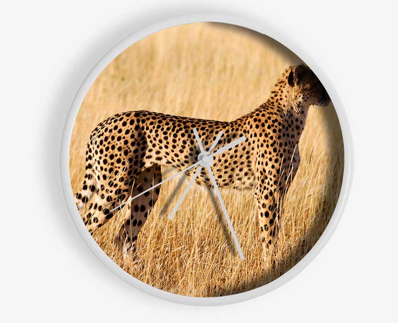 Cheetah Watch Clock - Wallart-Direct UK