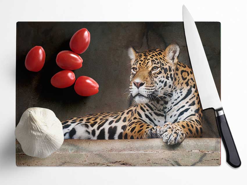 Young Tiger Resting Glass Chopping Board