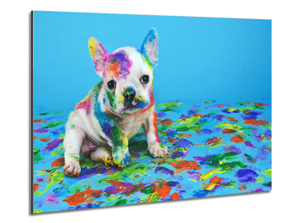 French Bulldog Paint Party