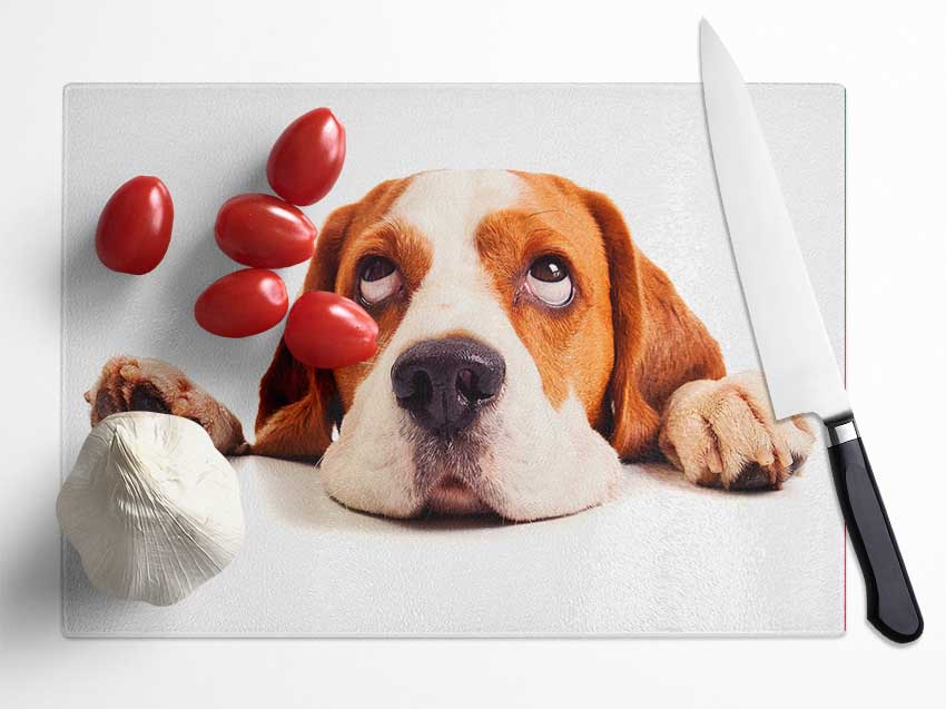 Lazy Basset Hound Dog Glass Chopping Board