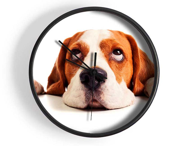 Lazy Basset Hound Dog Clock - Wallart-Direct UK