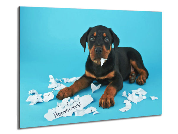 Naughty Rottweiler Puppy Dog