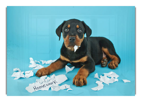 Naughty Rottweiler Puppy Dog