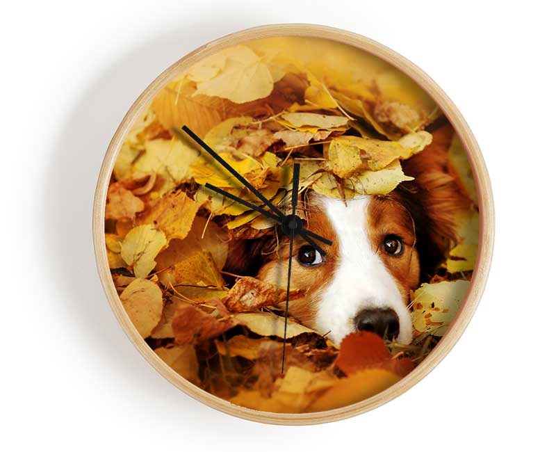 Dog In Autumn Leaves Clock - Wallart-Direct UK