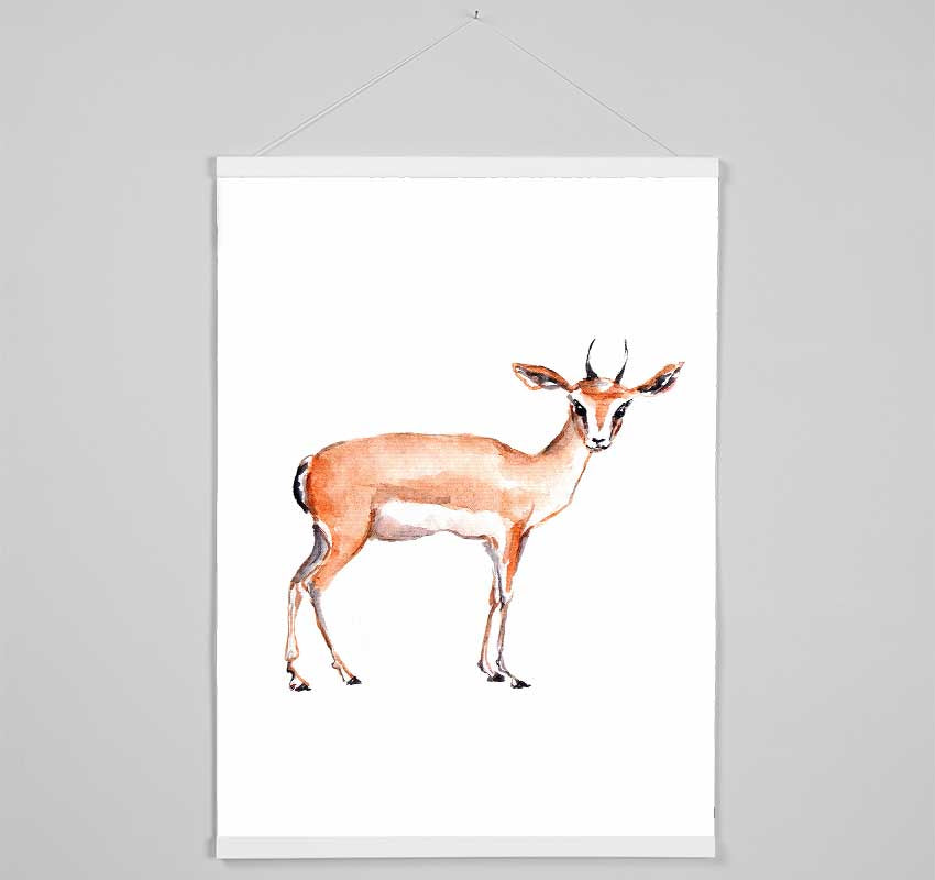 Springbok Hanging Poster - Wallart-Direct UK