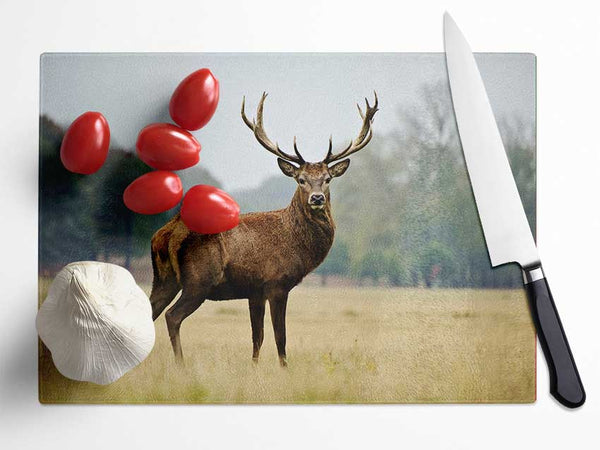 Red Deer Beauty Glass Chopping Board