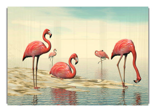 Pink Flamingo Batheing