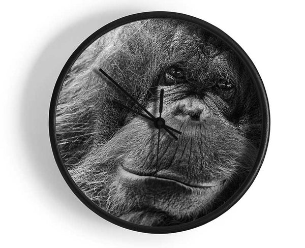 Orangutan Face Clock - Wallart-Direct UK