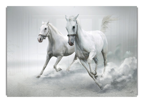 White Duo Horses