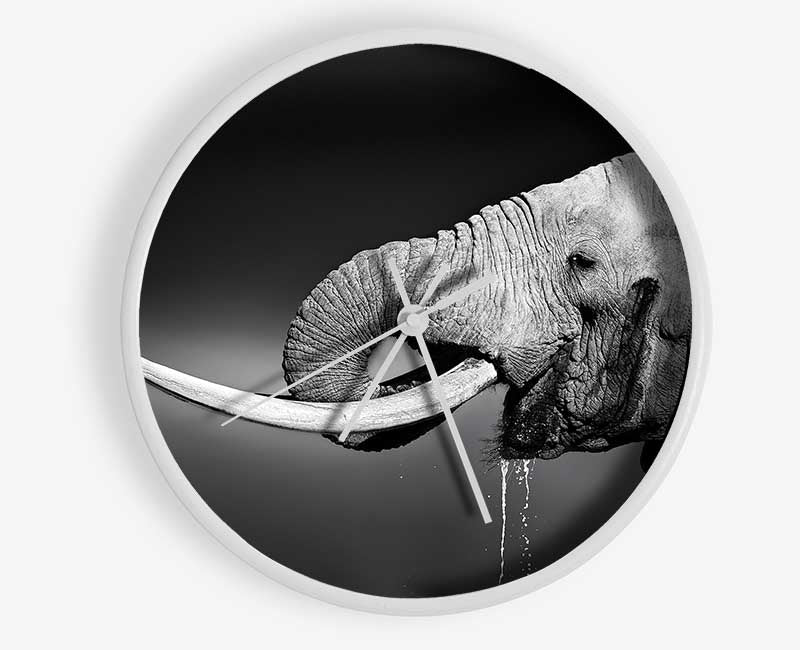 Elephant Drink Clock - Wallart-Direct UK