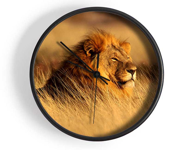 Pride Of The Jungle Clock - Wallart-Direct UK