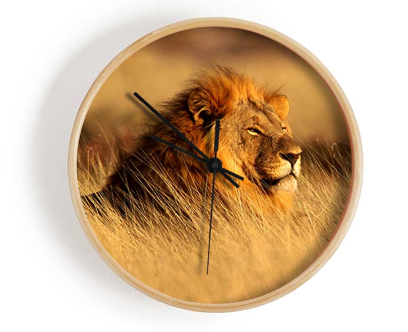 Pride Of The Jungle Clock - Wallart-Direct UK