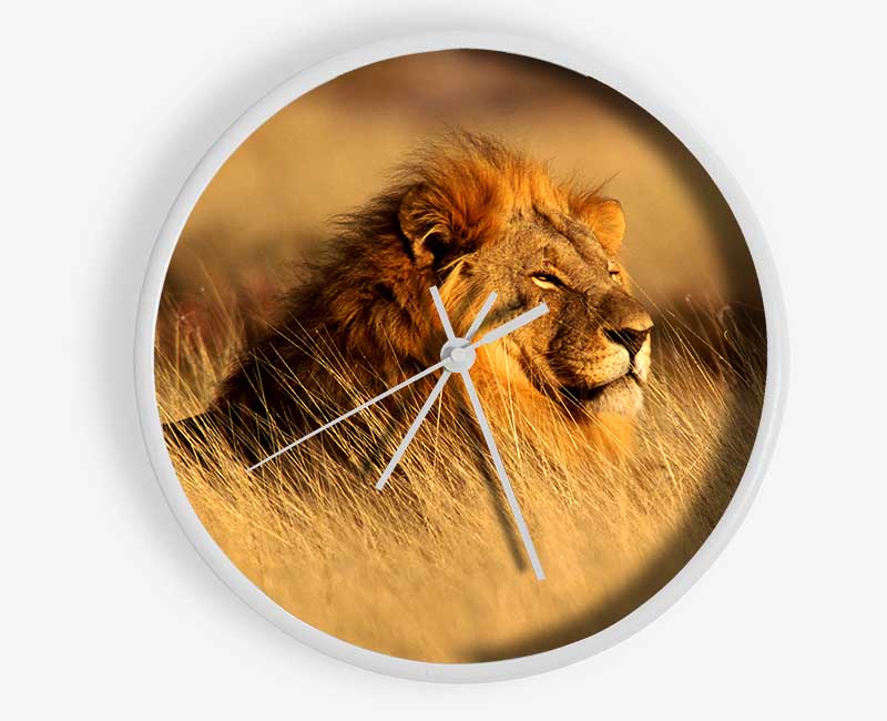 Pride Of The Jungle Clock - Wallart-Direct UK