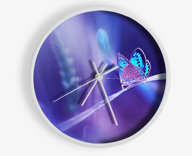 Purple Butterfly Wonder Clock - Wallart-Direct UK