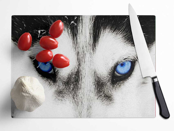 Husky Dog Blues Glass Chopping Board