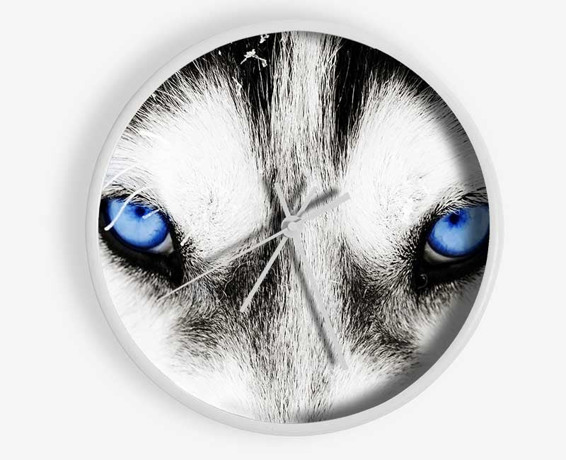 Husky Dog Blues Clock - Wallart-Direct UK