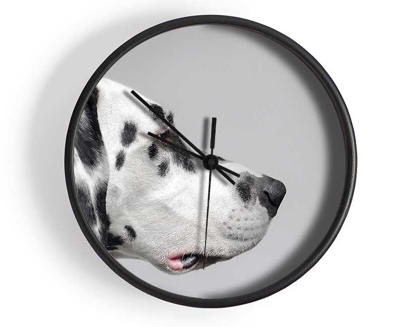 Dalmation Dog Face Clock - Wallart-Direct UK