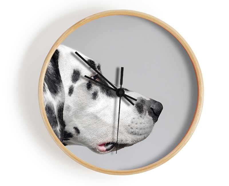 Dalmation Dog Face Clock - Wallart-Direct UK