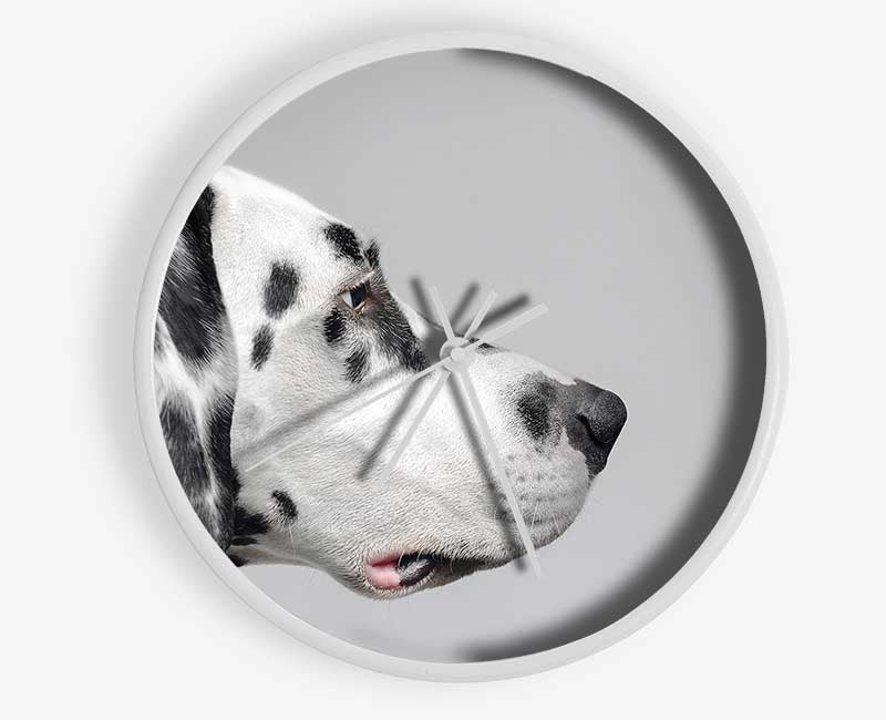 Dalmation Dog Face Clock - Wallart-Direct UK