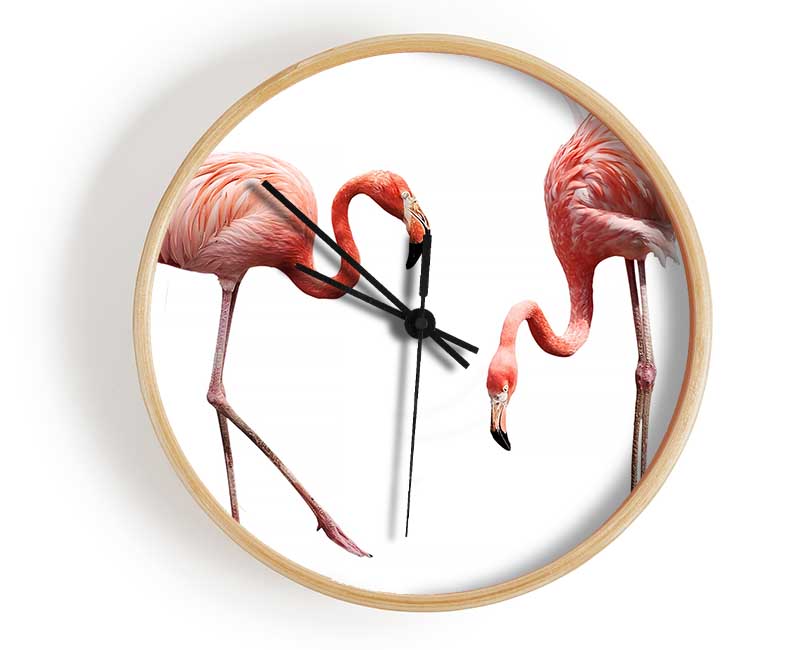 Pink Flamingo Duo Clock - Wallart-Direct UK