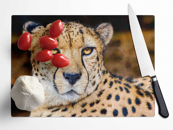 Beautiful Cheetah Face Glass Chopping Board