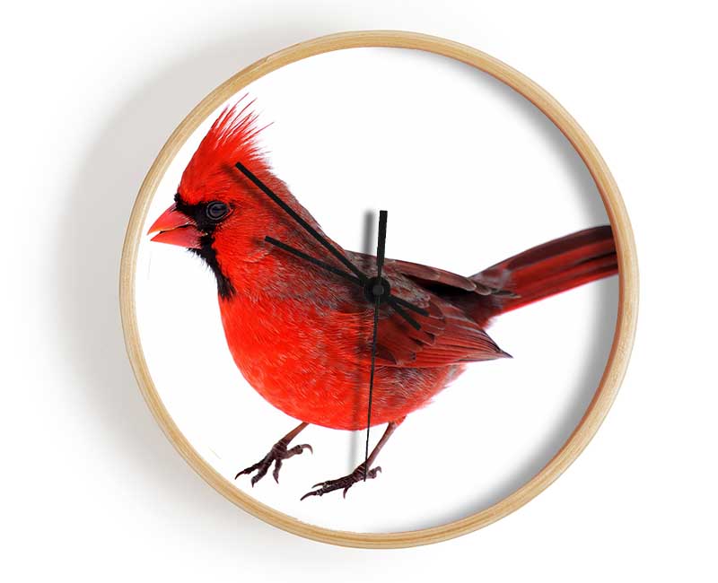 Scarlet Tanager Bird Clock - Wallart-Direct UK