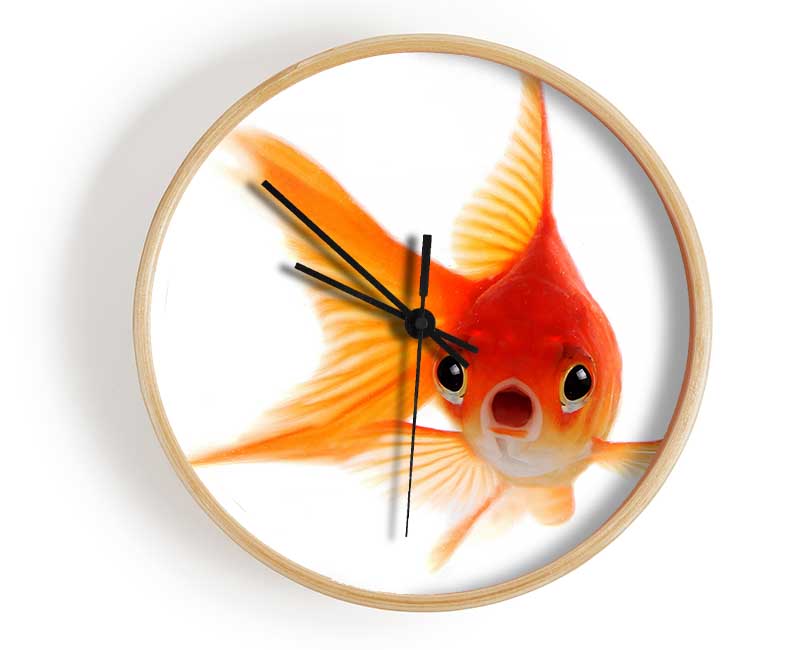 Shocked Goldfish Clock - Wallart-Direct UK