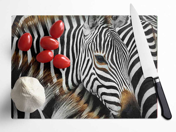 Zebra Huddle Glass Chopping Board