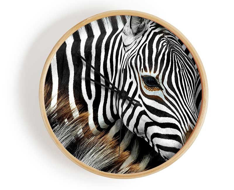 Zebra Huddle Clock - Wallart-Direct UK