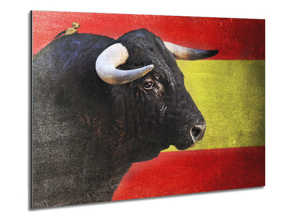 Spanish Bull