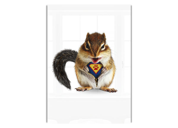 Super Squirrel