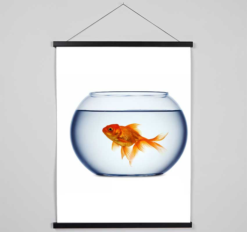 Goldfish Bowl Hanging Poster - Wallart-Direct UK