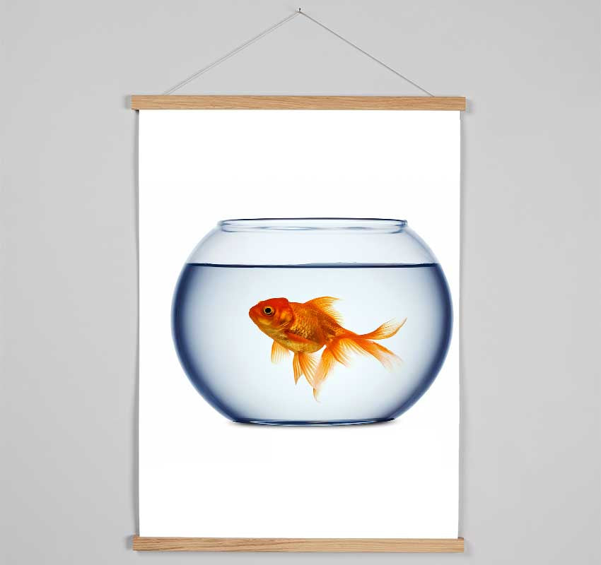 Goldfish Bowl Hanging Poster - Wallart-Direct UK