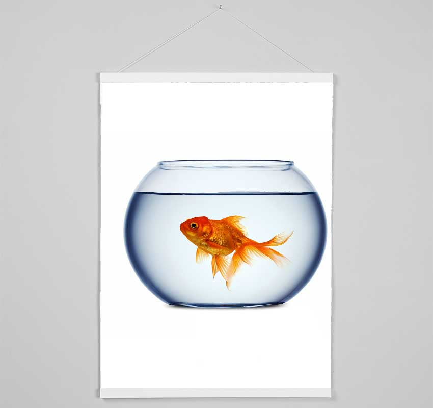 Goldfish Bowl Hanging Poster - Wallart-Direct UK