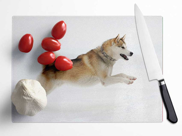 Husky Dog Snow Play Glass Chopping Board