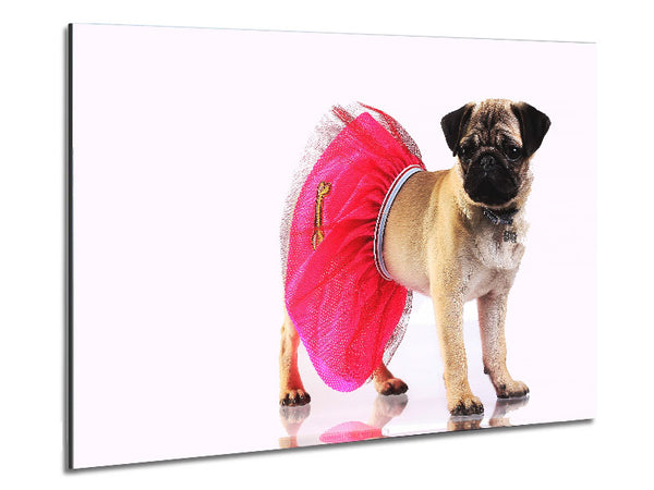 Pug Dog Tutu