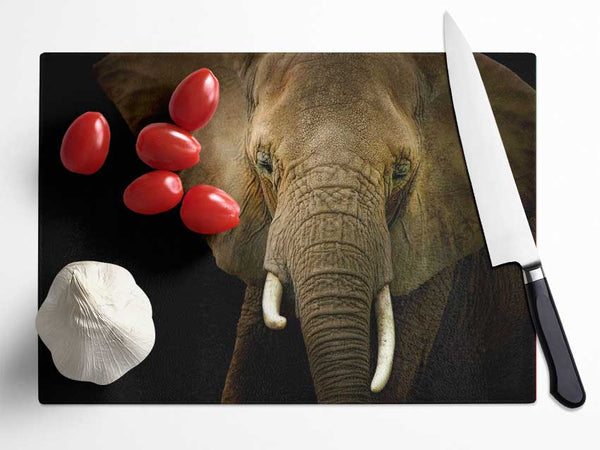 Stunning Elephant Face Glass Chopping Board