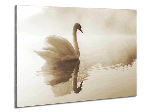 Lonesome Swan