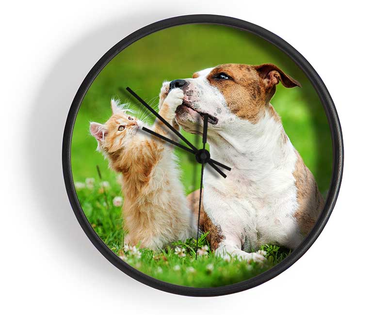 Cat No Dog Talk Clock - Wallart-Direct UK