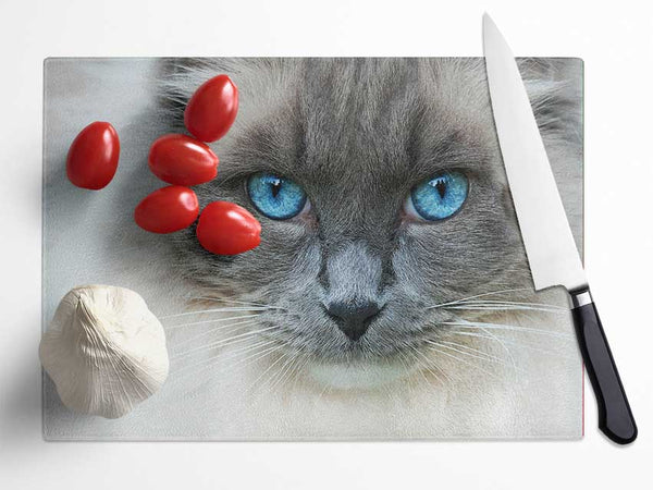 Ragdoll Cat Face Glass Chopping Board