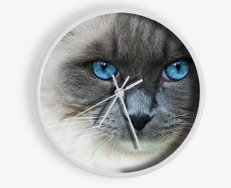 Ragdoll Cat Face Clock - Wallart-Direct UK