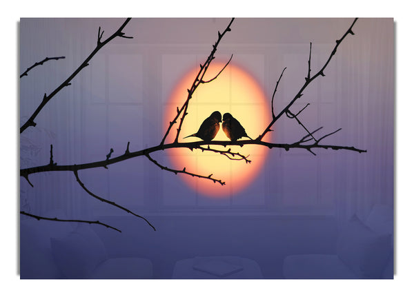 Love Bird Sunset