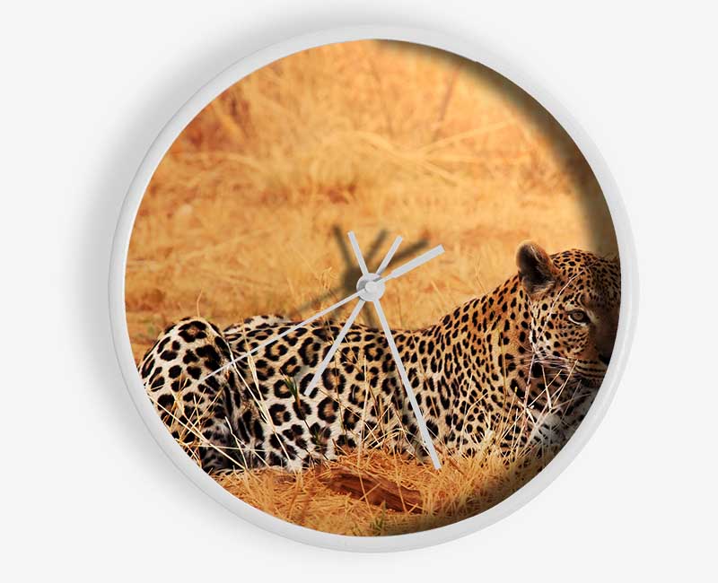 Leopard Waiting Clock - Wallart-Direct UK