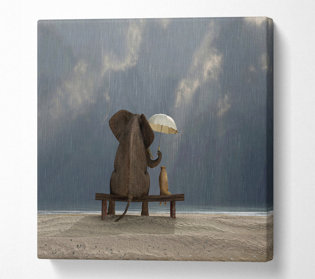 A Square Canvas Print Showing Helpful Elephant Square Wall Art