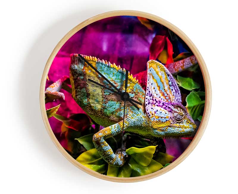 Chameleon In The Pink Clock - Wallart-Direct UK